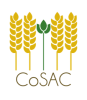 logo_COSAC